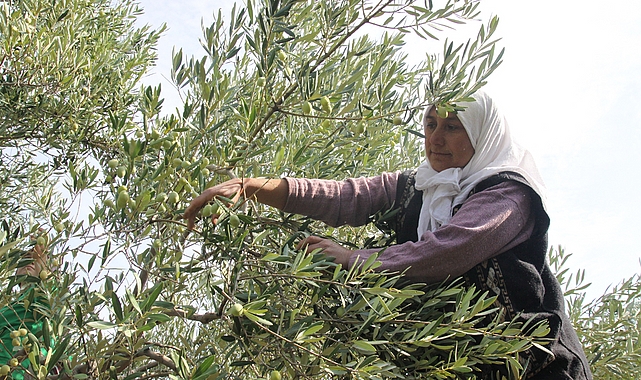 Yapay zekâ ve dijitalleşme ile Türk tarımında verimlilik, gıda güvenliği ve ihracat artacak, gıda kayıpları önlenecek