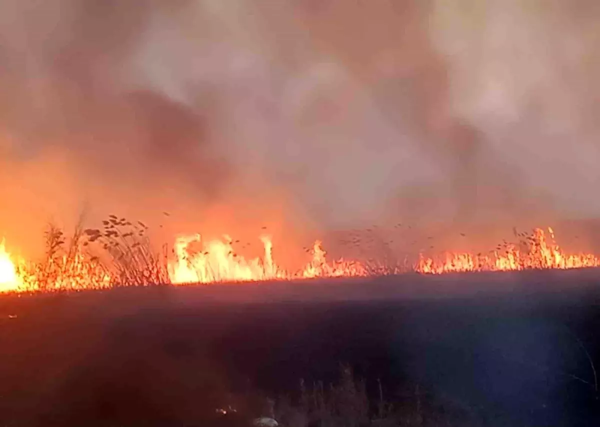 Eber Gölü’nde Sazlık Yangını