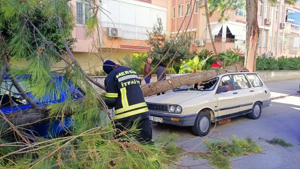 Akkuyu NGS’de Fırtına Sebebiyle Çalışmalara Kısıtlama